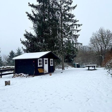 Wunderschoenes Chalet Mit Gaestehaus In Der Natur Mit Fass-Sauna Sangerhausen Exteriér fotografie
