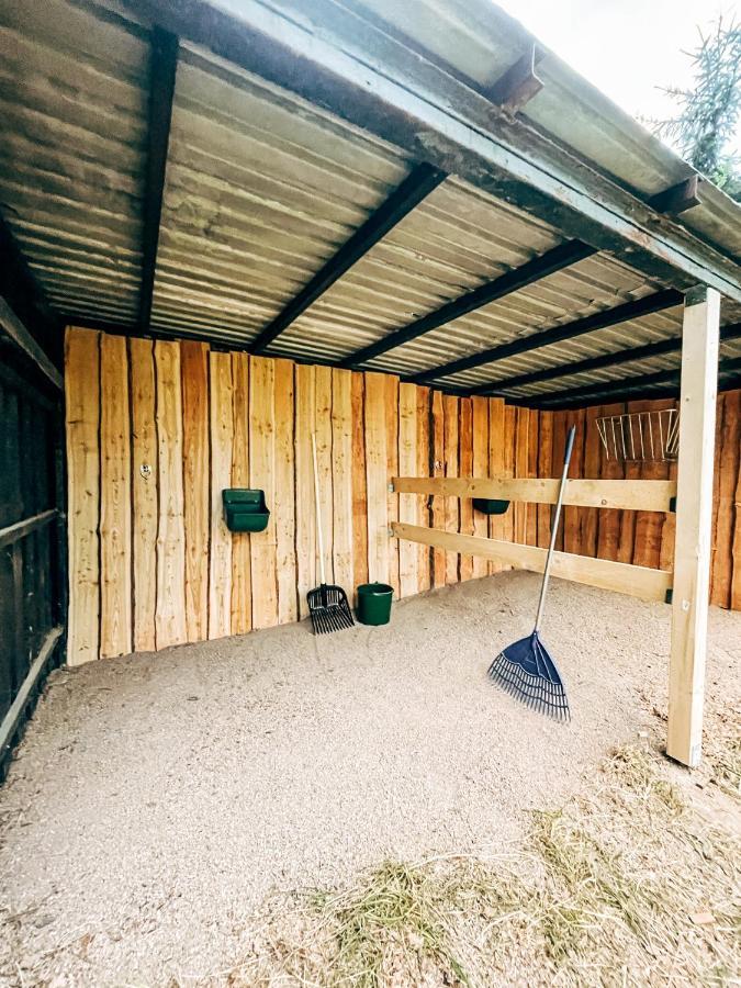 Wunderschoenes Chalet Mit Gaestehaus In Der Natur Mit Fass-Sauna Sangerhausen Exteriér fotografie