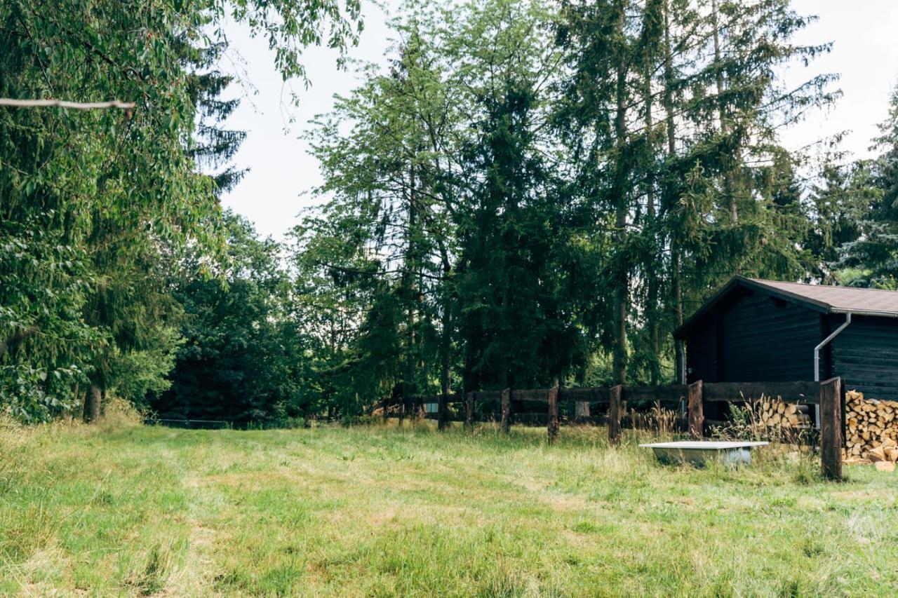 Wunderschoenes Chalet Mit Gaestehaus In Der Natur Mit Fass-Sauna Sangerhausen Exteriér fotografie