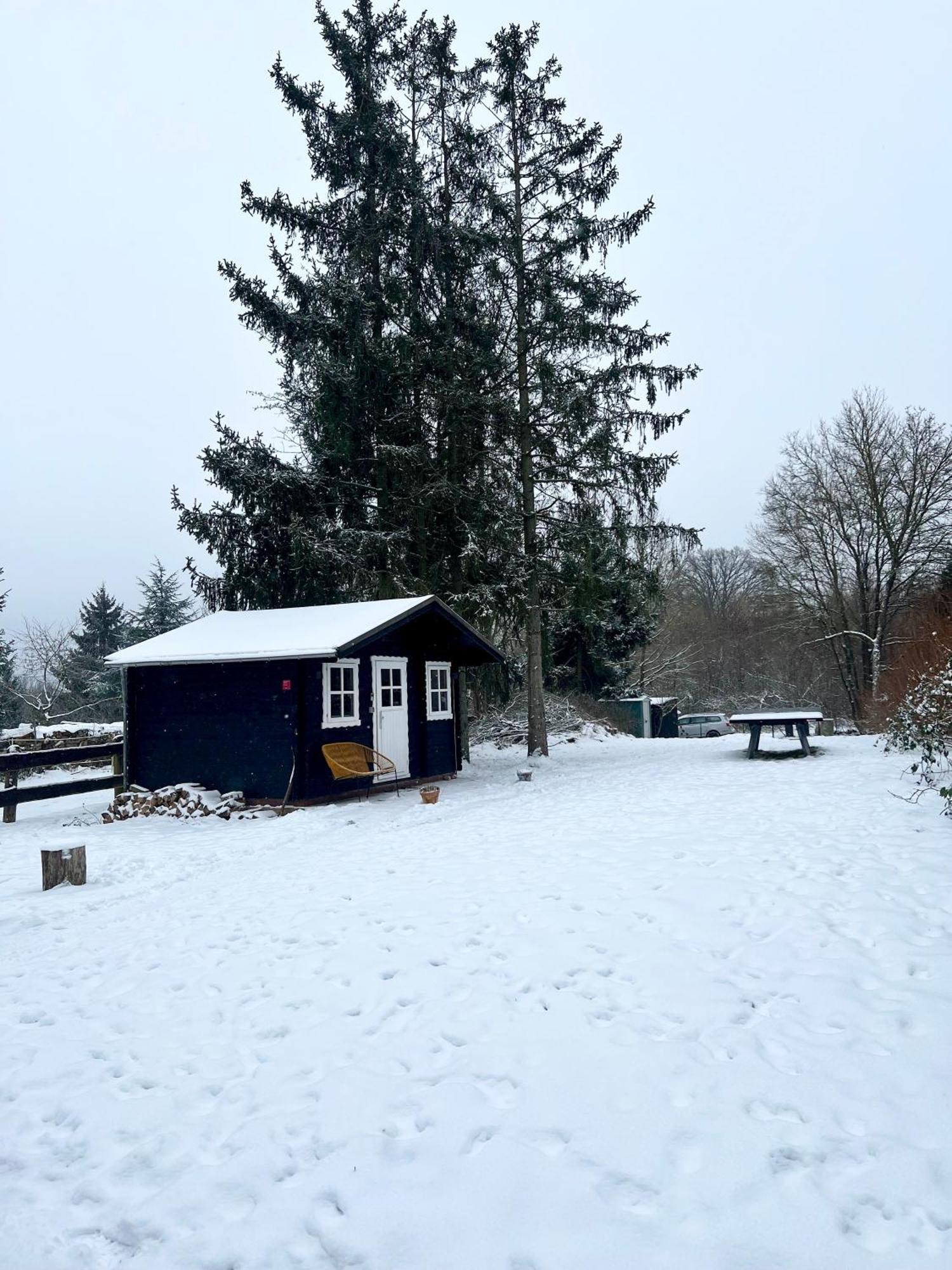 Wunderschoenes Chalet Mit Gaestehaus In Der Natur Mit Fass-Sauna Sangerhausen Exteriér fotografie
